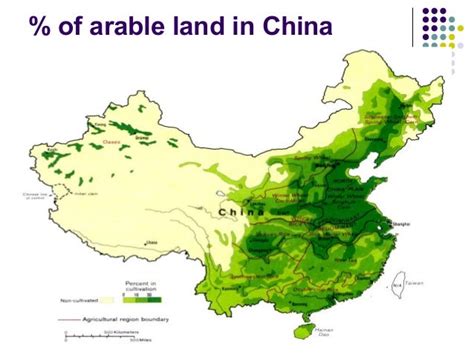 china arable land area